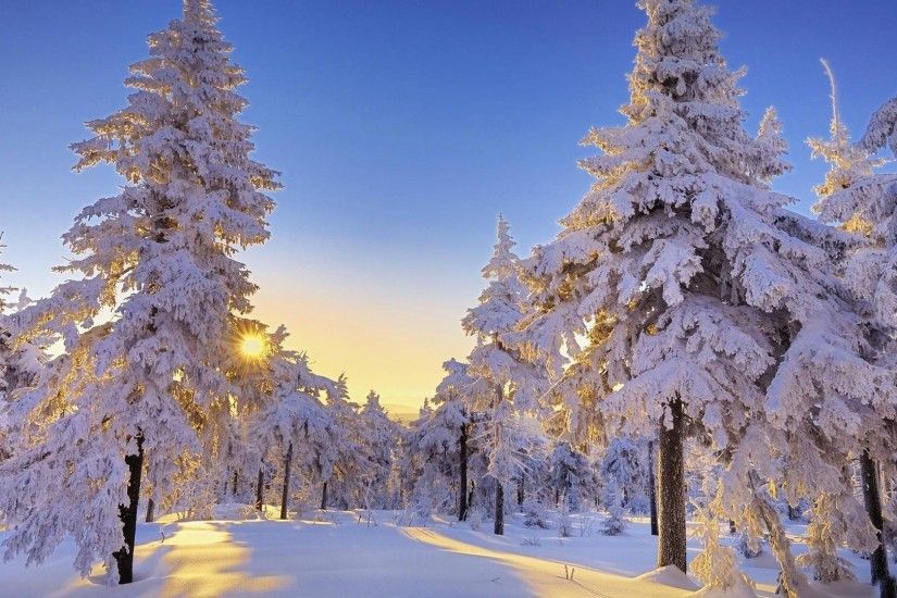 Beautiful-winter-sun-wallpaper-desktop
