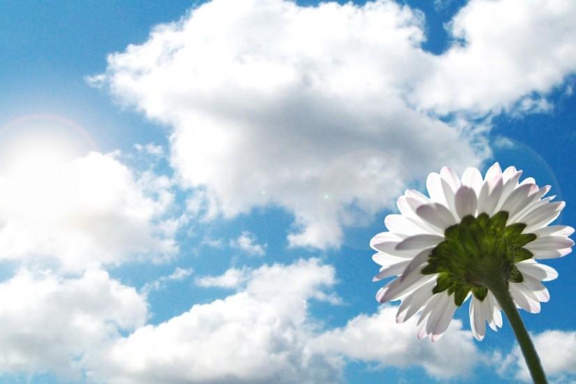 Sunshine background bright sunshine background - 2048x1152 Wallpaper Flower  Sky Clouds Sunshine Mood