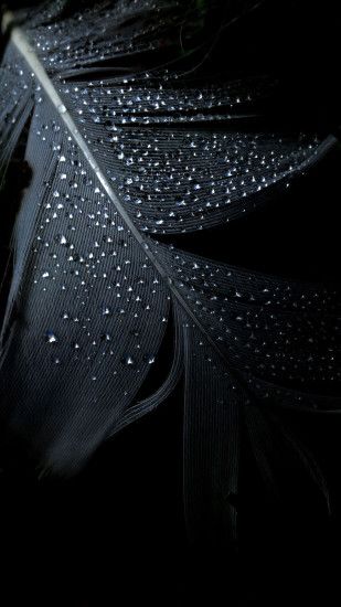 Black-Feather-Dew-Drops-Mysterious-Android-Wallpaper