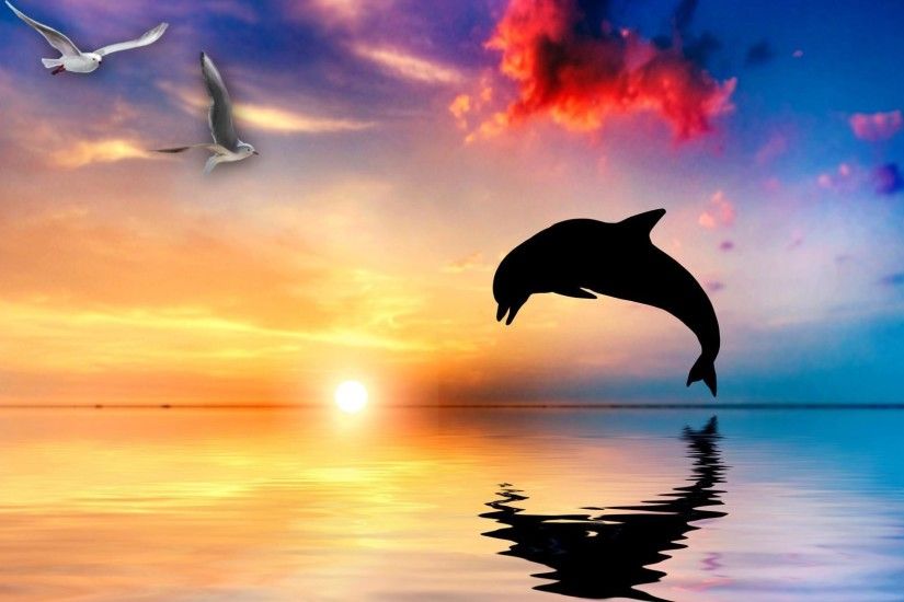 wallpaper.wiki-HD-Dolphin-Photos-PIC-WPB009198