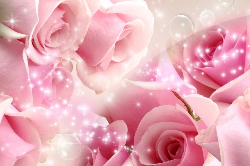 Pink And White Roses Wallpaper HD