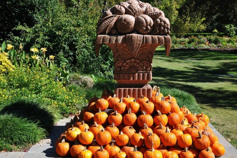 Other - STATUE Harvest Orange Fall Pumpkins Wallpaper Gallery for HD 16:9  High Definition