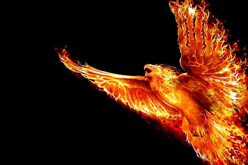 wallpaper.wiki-HD-Phoenix-Bird-Wallpapers-PIC-WPD001324