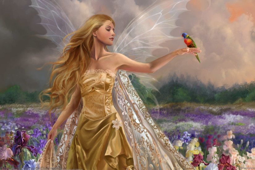 Beautiful Fairy