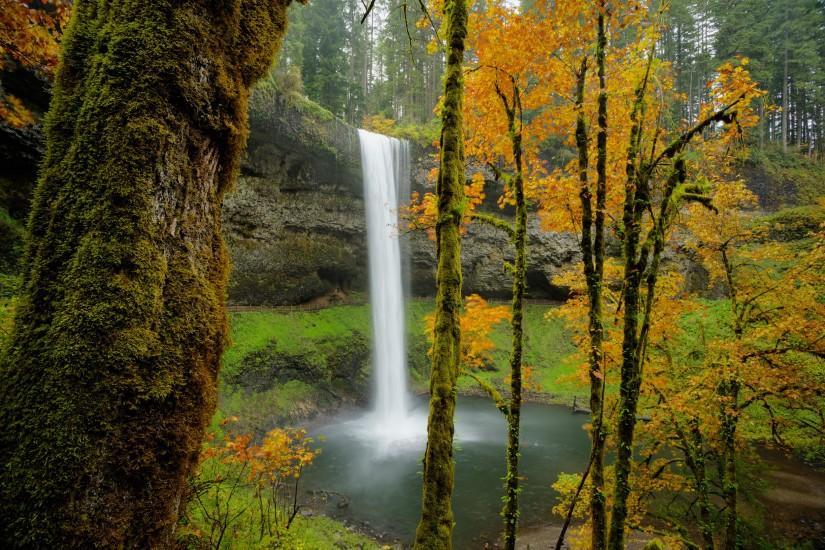 November Desktop Wallpaper - Silver Falls State Park, Oregon