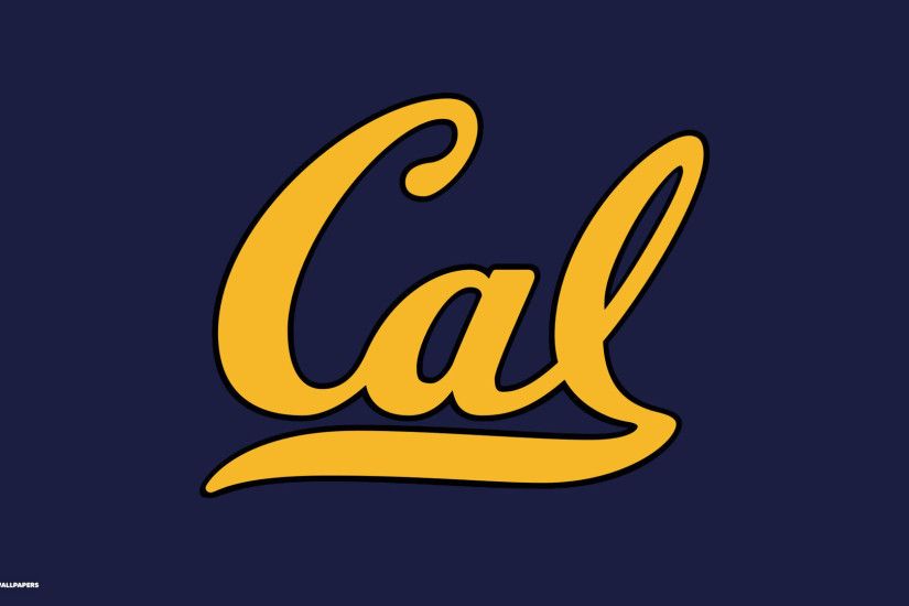 Cal Golden Bears Wallpapers Price Compare 1024Ã576 California Golden Bears  Wallpapers (25 Wallpapers) | Adorable Wallpapers | Wallpapers | Pinterest |  ...