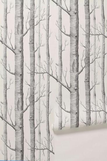 birch tree wallpaper -- I think this might be neat in a small half guest