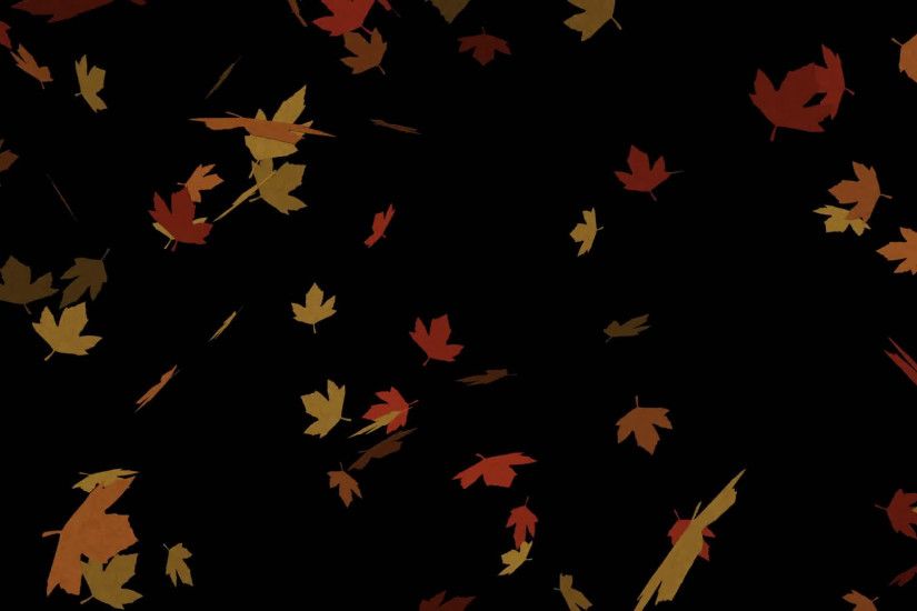 Autumn Leaves falling down in slow motion over black background seamless  loop, alpha channel Fall