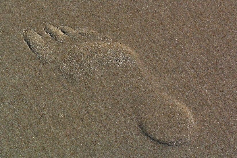 footprints in the sand illustration