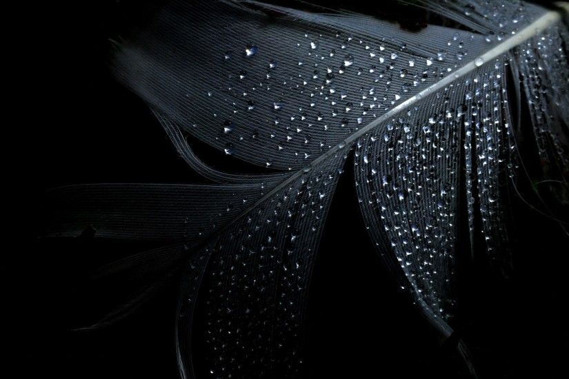 Pictures Download Black Wallpapers HD.
