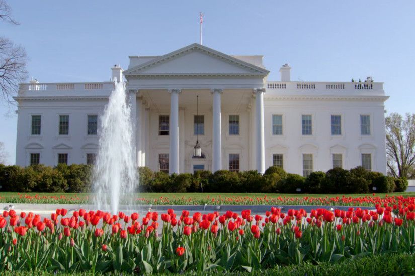 White House spot