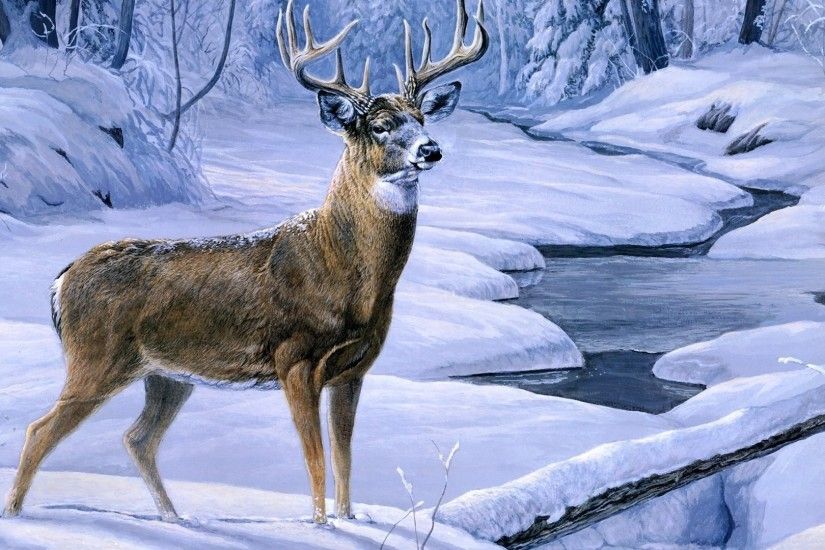 1920x1080 Cool Deer Wallpapers | HD Wallpapers | Pinterest | Deer wallpaper,  Wallpaper and Wallpaper