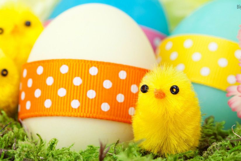 Colorful Easter eggs hd wallpaper
