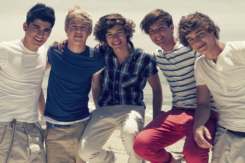 one direction the group harry styles zayn malik liam payne louis tomlinson  niall horan 1d