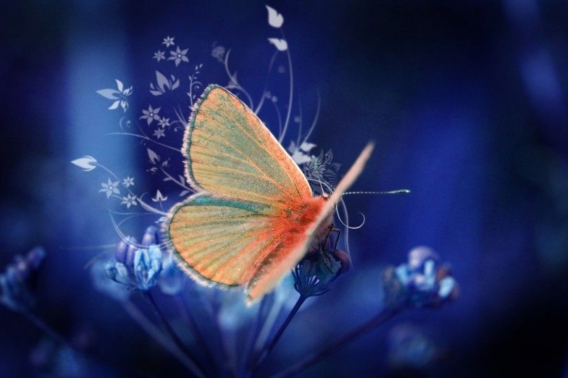 blue butterfly background. Â«