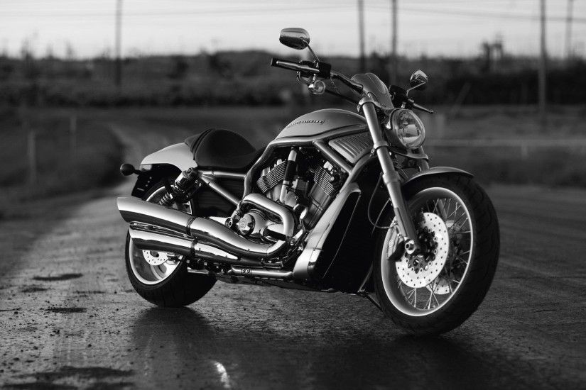 Harley Davidson V-Rod Night Rod Spec