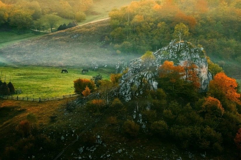 landscape, Nature, Mist, Sunrise, Fall, Forest, Fence, Grass, Horse, Hut,  Morning, Rock, Trees, Romania Wallpapers HD / Desktop and Mobile Backgrounds