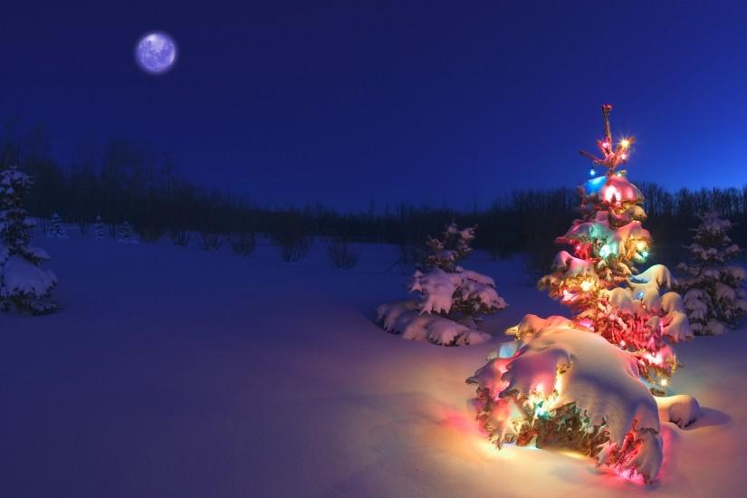 Christmas tree glowing at night in snow, Alberta, Canada