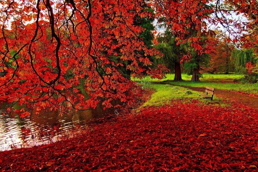 Autumn Wallpapers - Full HD wallpaper search