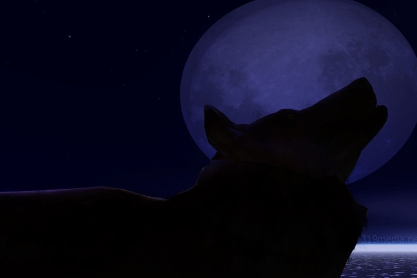 Animal - Wolf Moon Twilight Howling Dark Blue Wallpaper