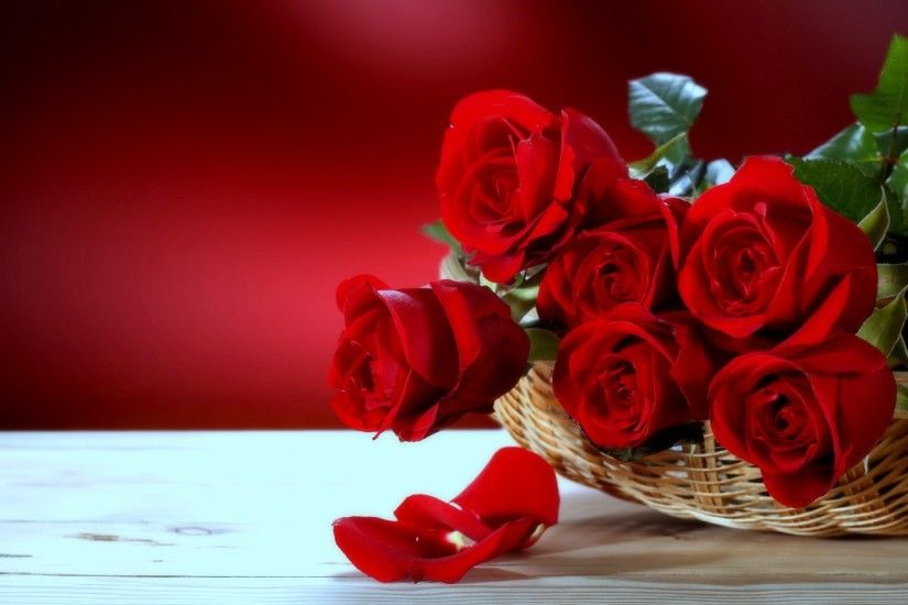 Red roses desktop flowers wallpaper
