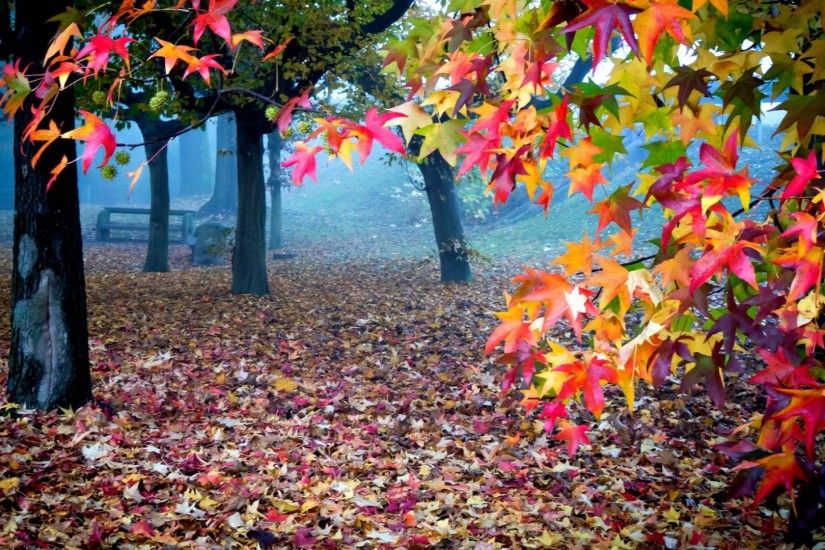 HD Autumn Wallpapers 661 ...