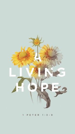 A living hope // mobile bible verse wallpaper by Godsfingerprints.co