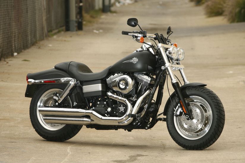 Harley Davidson black beast