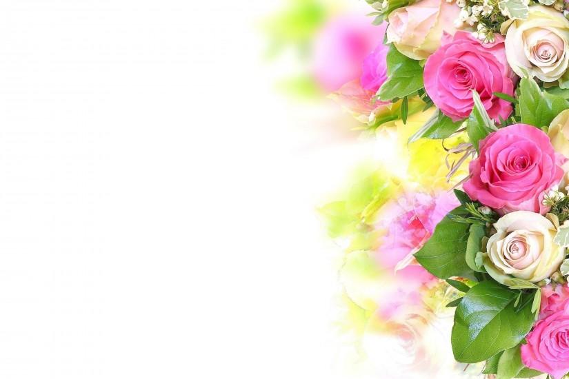 rose background 2880x1800 for pc
