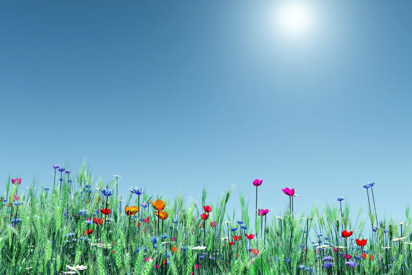 Spring Flowers background Widescreen