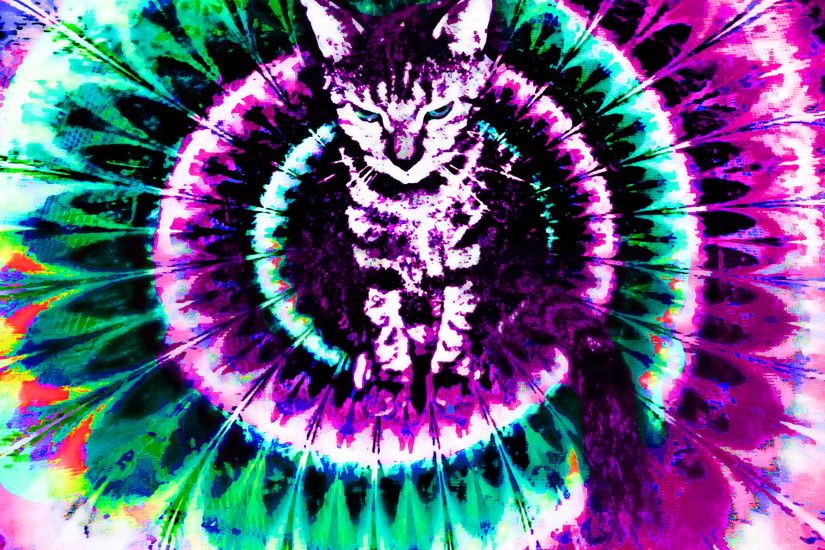 Showing Gallery For Trippy Cat Wallpaper Hd