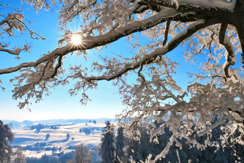 Get the latest winter, sun, branches news, pictures and videos and learn  all about winter, sun, branches from wallpapers4u.org, your wallpaper news  source.