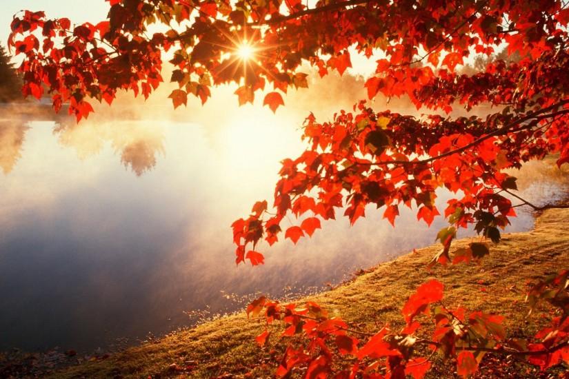Autumn Leaves Wallpaper Wide