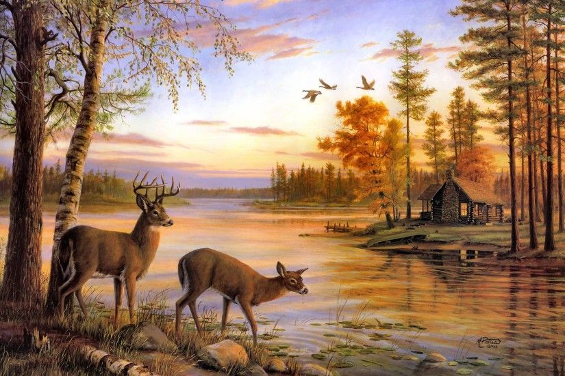 Deer HD Wallpapers, http://www.firsthdwallpapers.com/deer-
