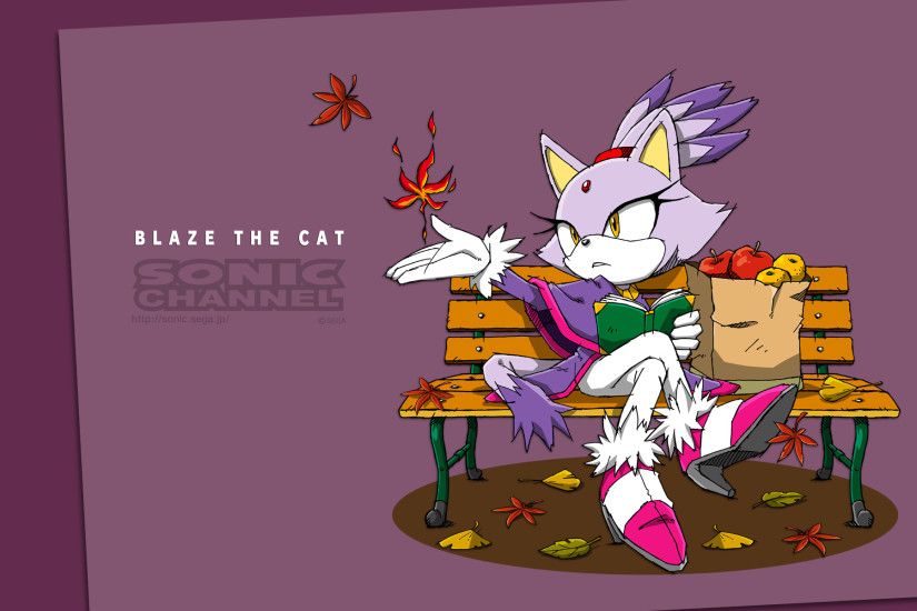 ... Wallpapers – Sonic Channel | Last Minute Continue ...