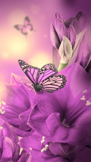 wallpaper.wiki-Free-Butterfly-Backgrounds-For-Android-PIC-