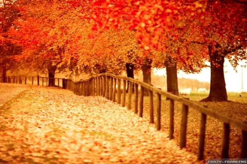 ... Autumn Wallpapers HD, Desktop Backgrounds, Images and Pictures ...
