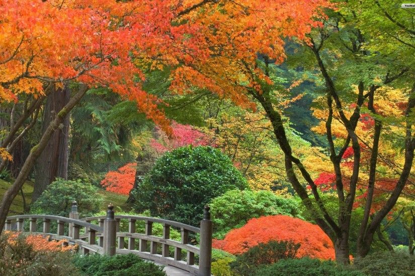 Japanese Garden Wallpaper