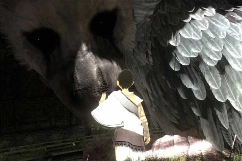 Launch 2016 The Last Guardian 4K Wallpapers