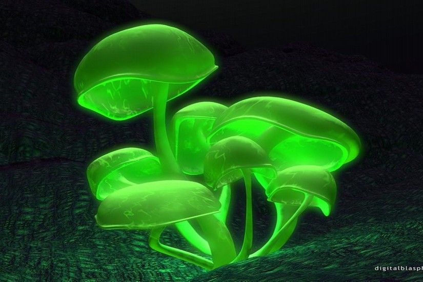 Green Mushroom 258662