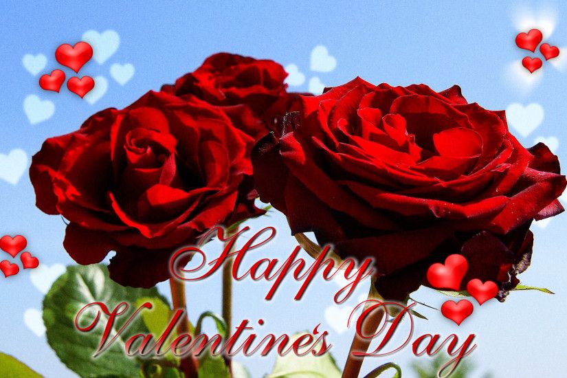 Rose Happy Valentine's Day ecard