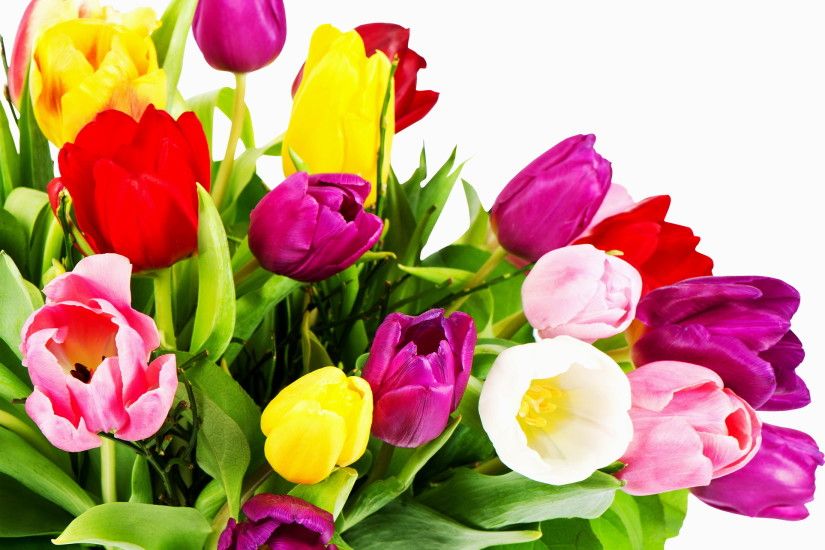 coloured tulips Â· Tulips FlowersFlower BouquetsSpring ...