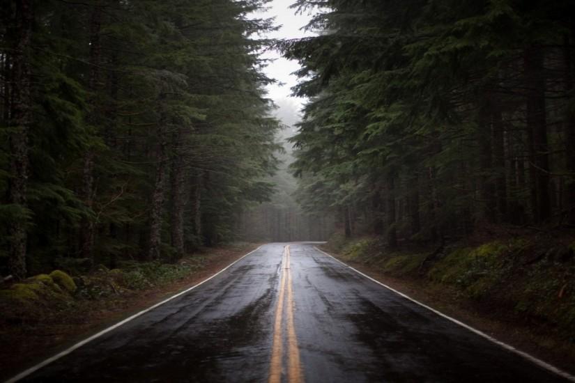 Preview wallpaper road, fog, nature, trees 1920x1080
