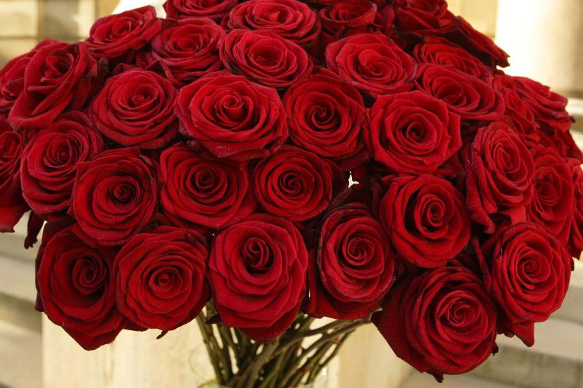 RED AND WHITE ROSES WALLPAPER