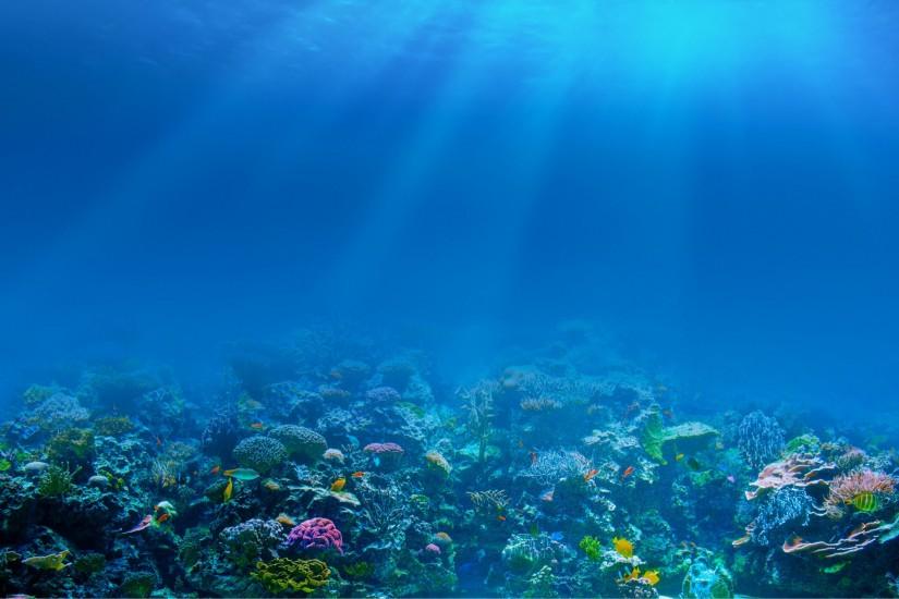 full size underwater background 2000x1272 hd for mobile