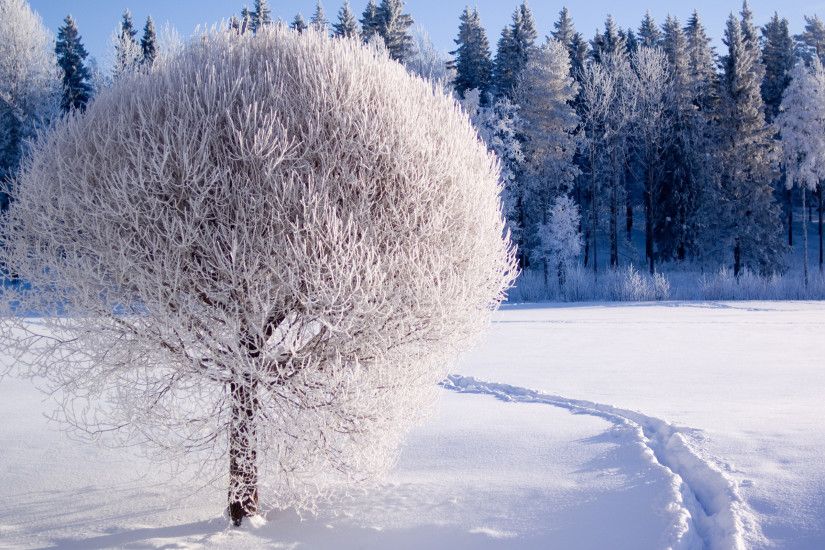 Nature Winter Wallpapers HD