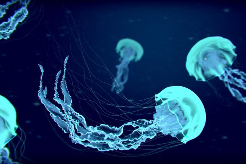 Animals For > Glowing Jellyfish Wallpaper