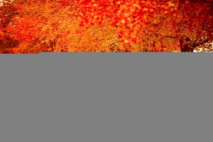 2560x1440 Fall Foliage Desktop Wallpaper 1280Ã—1024 Fall Themed Desktop  Backgrounds (38 Wallpapers)