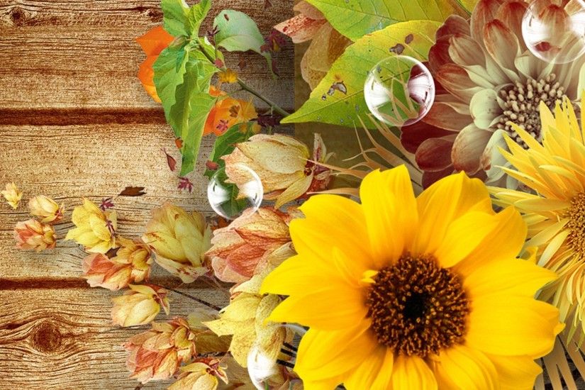 ... sunflowers desktop backgrounds flowers fall flowers autumn boards wood  pods bubbles sunflowers