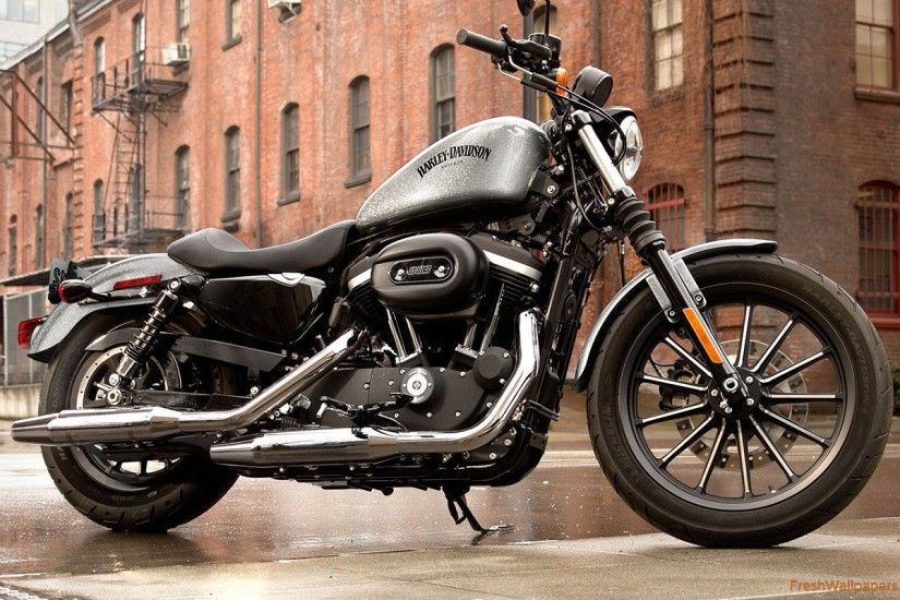 2015-harley-davidson-iron-883 Wallpaper: 2560x1600